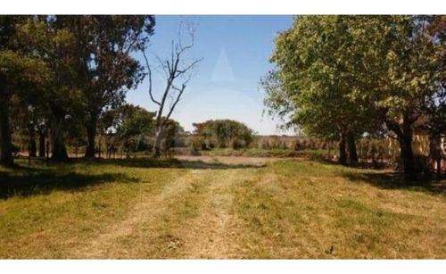 Imagen 3 de 4 de ::: Eib Vende Terreno A 50 Mts Del Ubajay :::