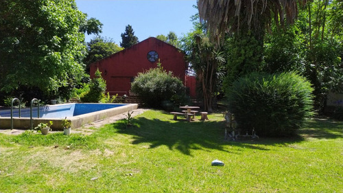 Lote | Pedro Goyena 348