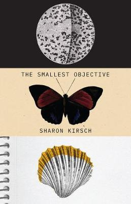 Libro The Smallest Objective - Sharon Kirsch