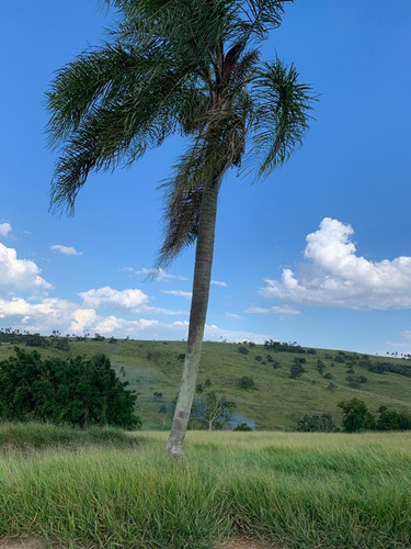 R16- Em Jacareí,terrenos A Venda Com A Doc.ok