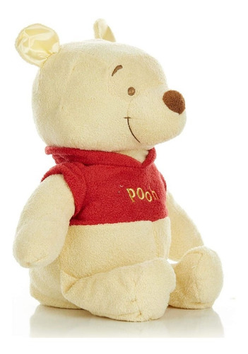Imagen 2 de 5 de Disney Baby Winnie The Pooh Peluche Flexible