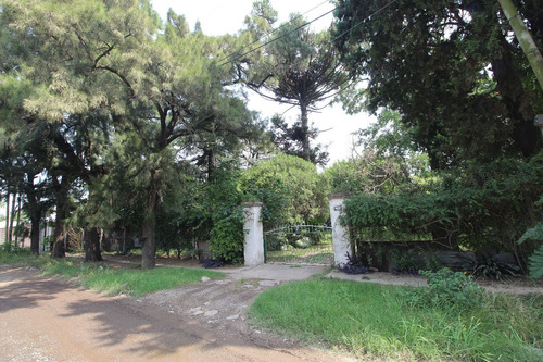 Oportunidad Venta Lote 1625m2 Metros Camino Cintura Permuta