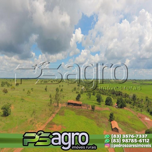 Imagem 2 de 10 de Fazenda À Venda Em Pium/to - 4.210 Ha (870 Alqueires) - Fa0089