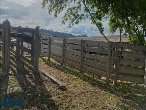 Finca Para Caballistas(mls#249601)