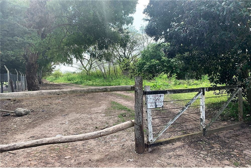 Imagen 3 de 15 de Hectareas Venta En Villa Elisa, Ideal Ley Habitat
