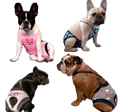 Bodys Sanitarios Bombachas Para Perros O Gatos Premium Star
