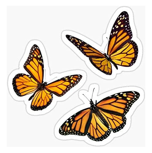 Paquete De Calcomanías De Mariposa Monarch Orange  Adhesivo
