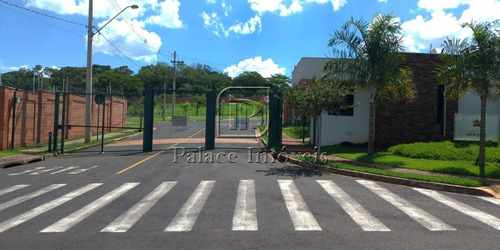 Imagem 4 de 8 de Terreno Misto - 3551