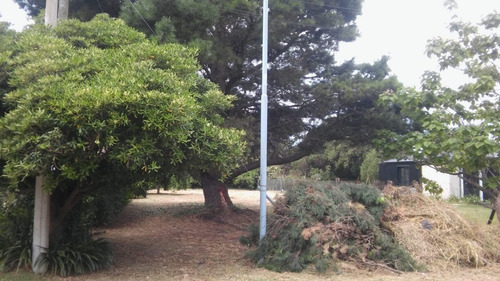 Imagen 1 de 2 de Oportunidad Lote 10 X 34 M Muy Cerca De La Ruta...
