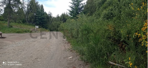 Imagen 9 de 12 de Venta Lote 623 M2 Villa La Angostura, Bª Paseo Del Ciprés