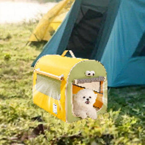 Cão Caixa De Carro Viagem Filhote De Amarelo E Verde