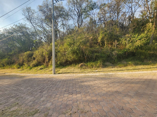Venta Lote Gladiola 42 Con Vistas Panorámicas Y Todos Los Servicios Y Proyecto Incluído. A Unos Pasos De Las Amenidades En Nueva Zona De Fracc Rancho San Diego Ixtapan De La Sal Edomex