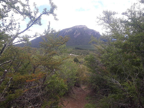 Imagen 11 de 12 de Sobre Ruta 40 - El Foyel