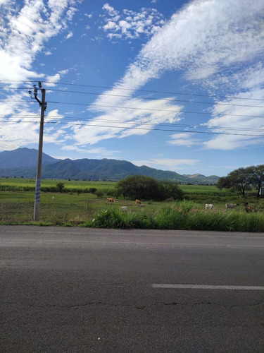 Terreno En Venta En Ameca, Jalisco.