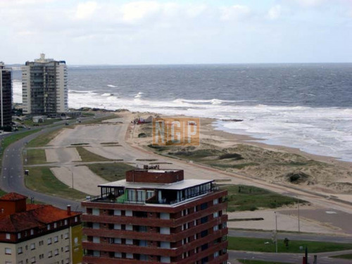 Imagen 19 de 30 de Lindisimo Departamento