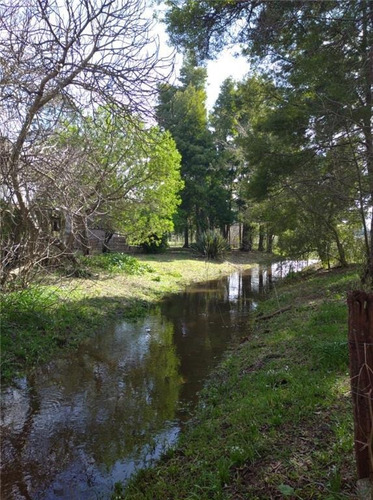 Imagen 2 de 30 de Lindísimo Campo En Veronica, Punta Indio