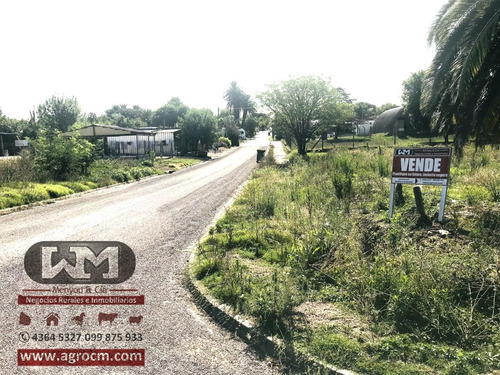 Venta Terreno En Trinidad Flores 300 M2