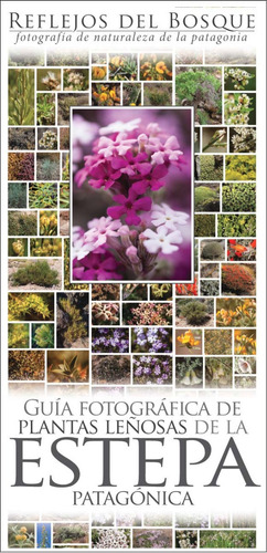 Imagen 7 de 10 de 3 Guías Fotograficas De Naturaleza De La Patag. A Elección