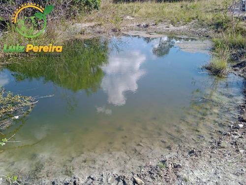 Imagem 12 de 15 de Fazenda À Venda Em São Valério - To - De 223 Alqueirões (pecuária) - 1821