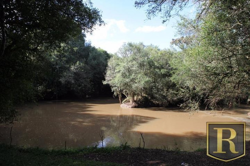 Imagem 3 de 15 de Chácara Para Venda Em Guarapuava, Área Rural - Ch-0005_2-1623860