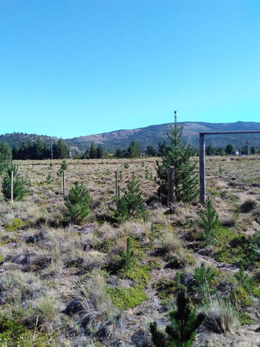 Venta De Lote En Lolog, Junin De Los Andes, Neuquén