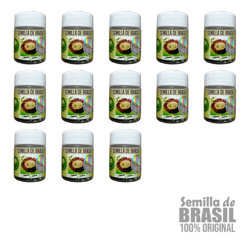 Semilla Sdb 100% Original (13 Frascos)