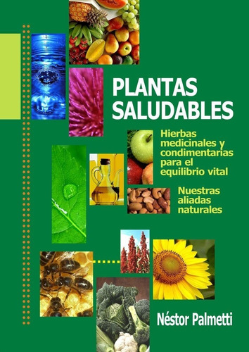 Plantas Saludables: Las Benéficas Aliadas | Nestor Palmetti