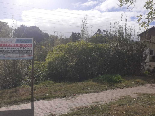 Imagen 10 de 14 de Vendo Lote Av Espora Y Loria