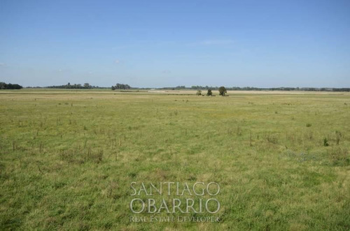Imagen 2 de 8 de Muy Buen Campo En Venta De 53 Has En Navarro Ruta 47