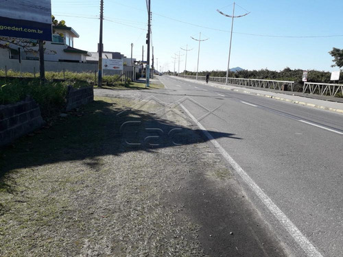 Imagem 7 de 10 de Terrenos - Ref: V698