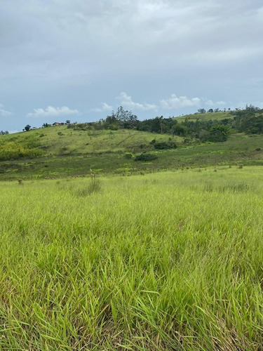 Imagem 13 de 14 de 49) Terreno Para Chácara Em Empreendimento Fechado!