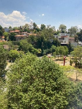 Imagen 16 de 16 de Departamento En Renta En Bosques De Las Lomas