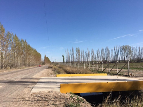 Imagen 6 de 6 de Vende Chacra En Fernandez Oro