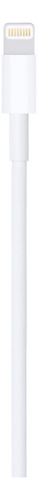 Cable De Usb-a A Lightning 1 Metro Apple
