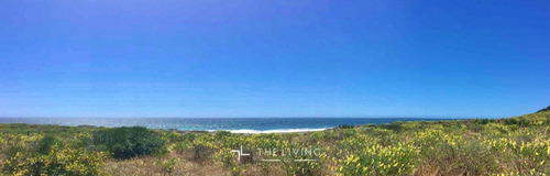 Sitio En Venta En Pelluhue