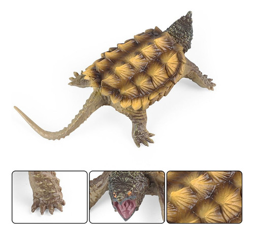 K Modelos De Tortuga Caimán Marino Simulación Wildlife-