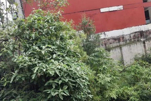 Terreno En Venta Colonia Granada ¡uso De Suelo H3/6! 7 Niveles