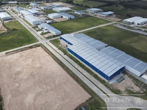 Imagen 3 de 15 de Deposito En Alquiler En Parque Industrial - Pitec - A Estrenar- 1700 M2 Zona Sur Florencio Varela