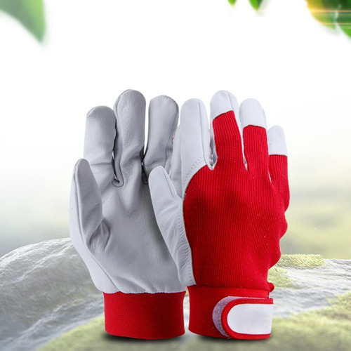 Maquinaria Construcción Motosierra Guantes De Protección.