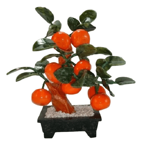 Bonsai Arbol 8 Mandarinas - Para La Prosperidad Y Abundancia