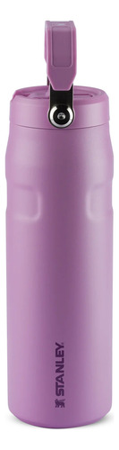 Garrafa Aerolight Flip Straw Heat Wave Com Canudo 710ml Cor Lilac