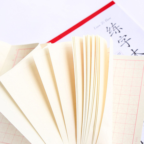 Cuaderno De Práctica De Escritura China, 4 Unidades
