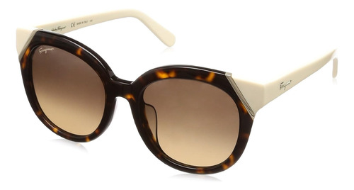 Lentes De Sol Ferragamo Sf836sa Contrast Cat Eye 53mm Suns