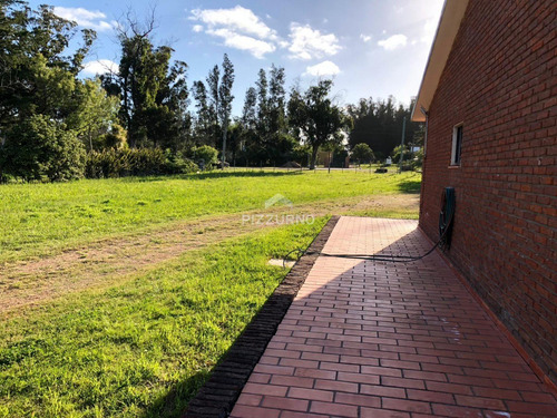 Chacra En Venta En Camino De Los Ceibos- Ref: 183