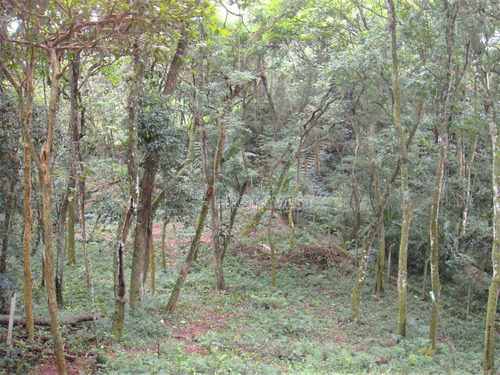 Imagem 6 de 11 de Terreno À Venda, 1472 M² 0 - Granja Viana - Carapicuíba/sp - Te9125