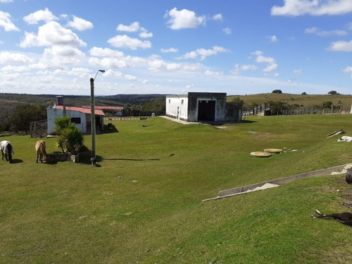 Campo Financiado