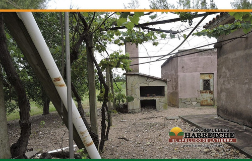 Campo Venta 50 Has Juanico, Casa, Galpones