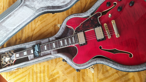 Guitarra Eléctrica D'angelico Semi Hollow Excel Dc 