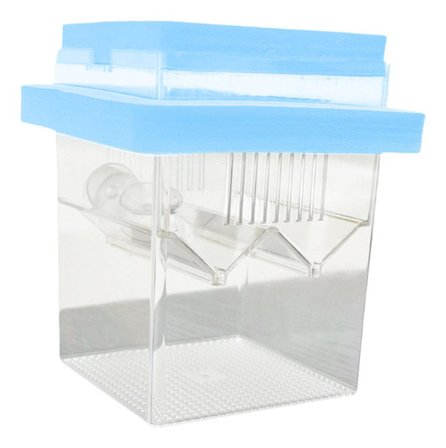 Caja De Reproducción De Peces Flotantes Caja De Azul