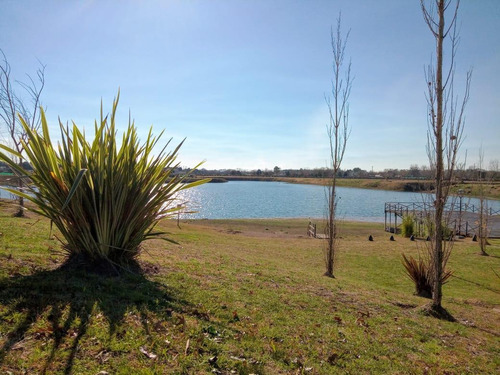 Imagen 8 de 12 de Espectacular Lote En Barrio Los Juncos, Luján